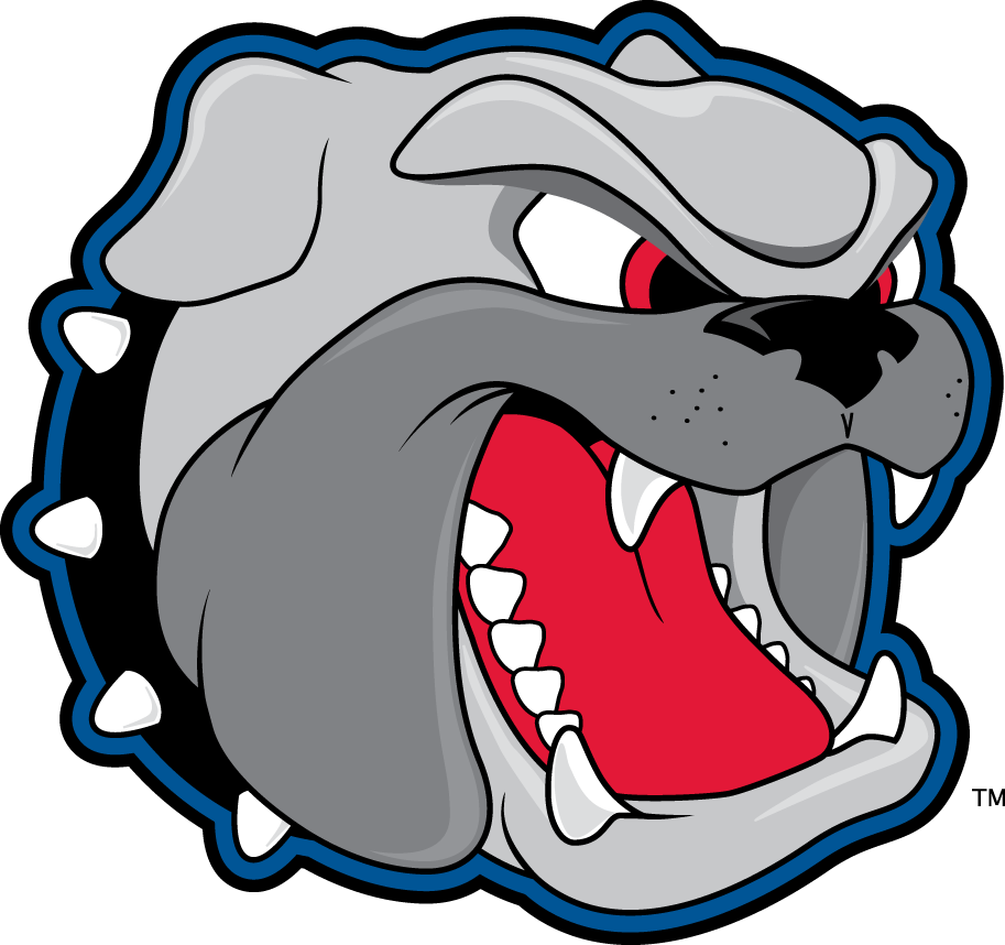 North Carolina Asheville Bulldogs 1998-Pres Secondary Logo t shirts iron on transfers